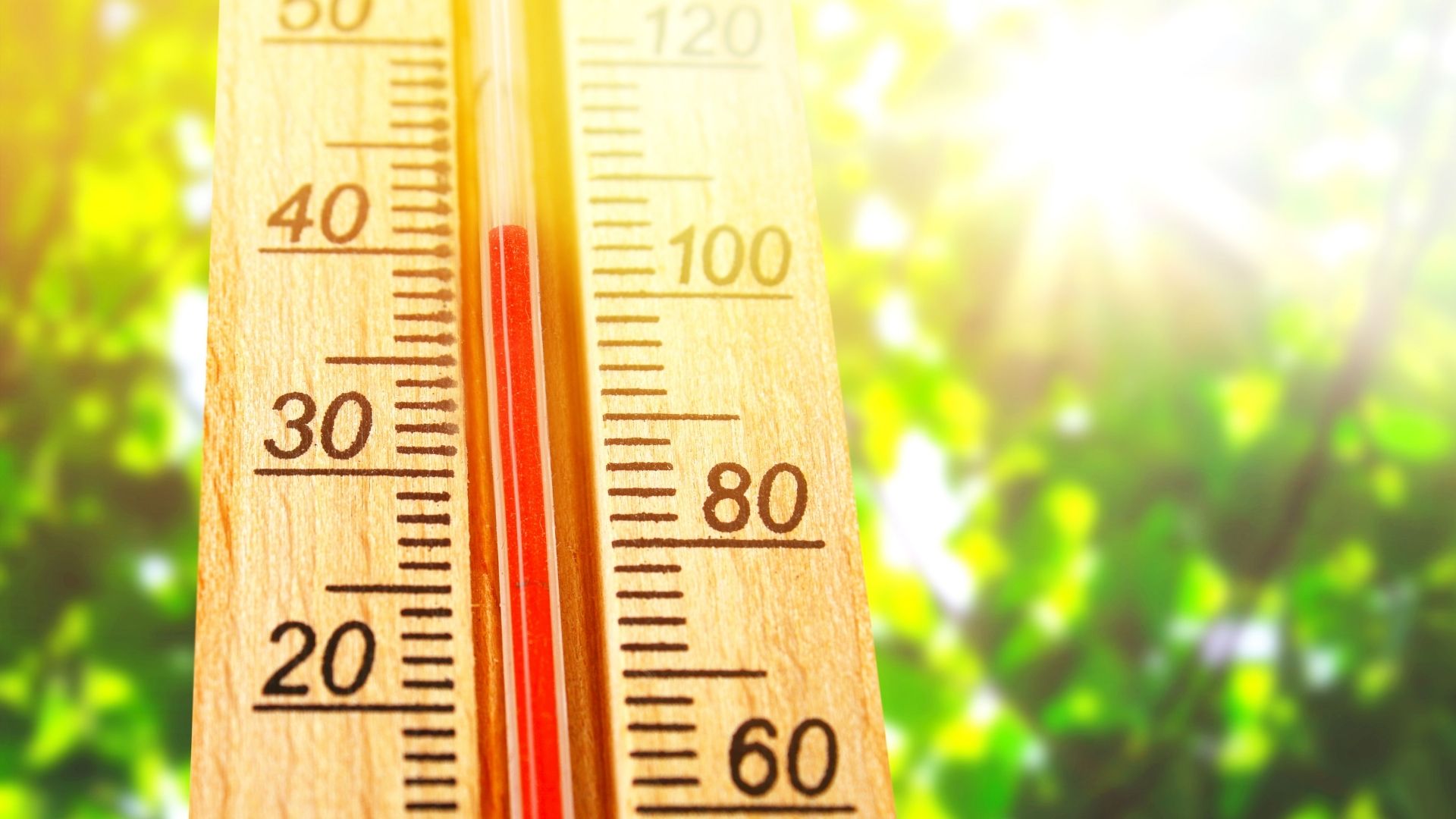Too Hot To Work Maximum Temperature For Working too-hot-to-work-maximum-temperature-for-working