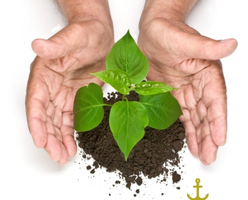 HR Anchor eco-friendly