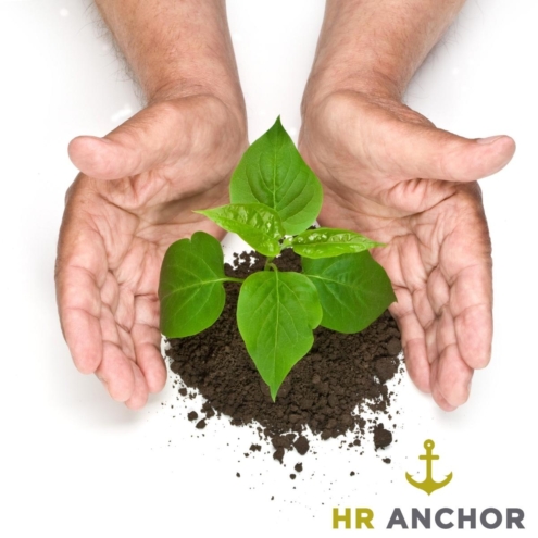 HR Anchor eco-friendly